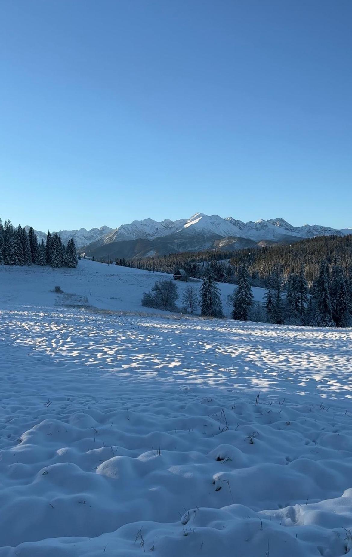 Tatra Widok Apartment Bukowina Tatrzanska Bagian luar foto
